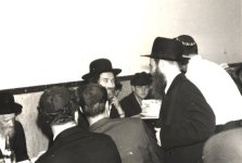הגראיל והגריגא.jpg