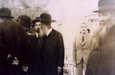 רזס ורשד אונגר נייטרא.jpg