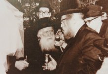 הרב כהנמן99.JPG